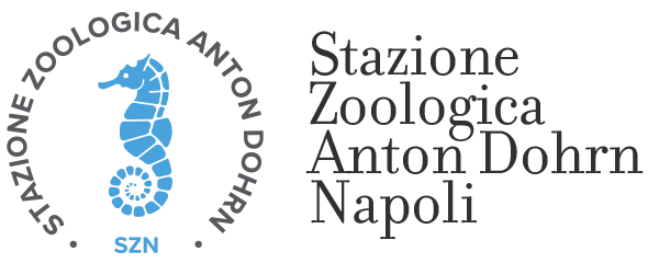 SZN logo