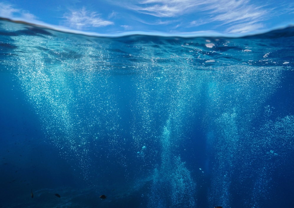 Ocean Observation